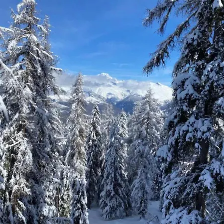 L'edelweiss Apartment La Plagne-Tarentaise