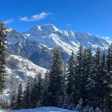 Apartment L'edelweiss La Plagne-Tarentaise